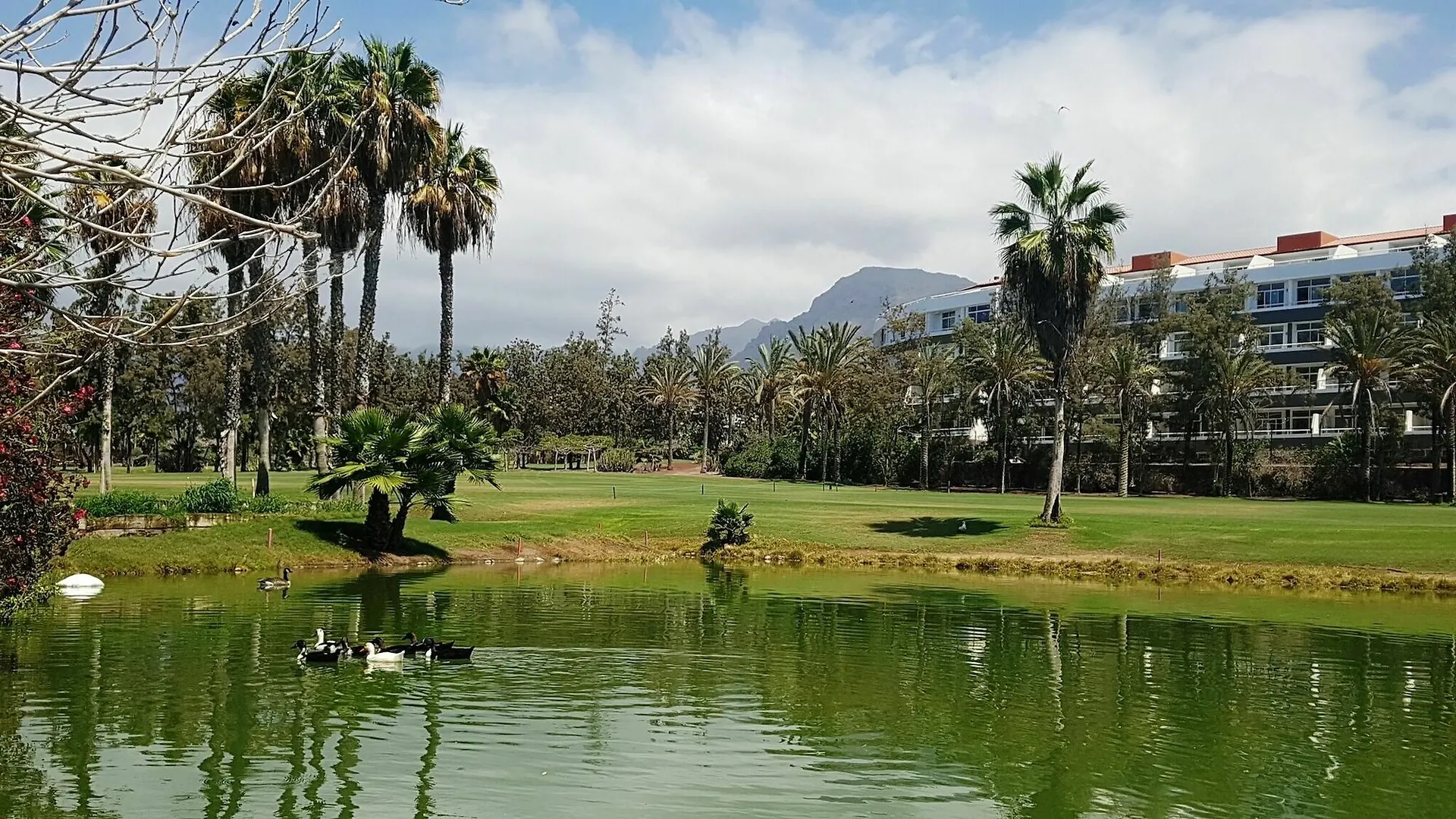 Gara Suites Golf & Spa Playa de las Americas  4*, Playa de las Americas (Tenerife) Spagna
